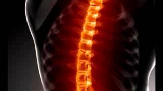 Chiropractor Studio City CA 91604 | Chiropractic Care