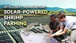 Intelligent Aquaculture: Solar-Powered Shrimp Farming