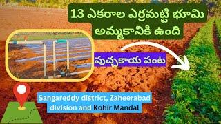 ||Agriculture land for sale in#telangana #Patancheru Sangareddy#zaheerabad kohir #Mandal 13 Acer