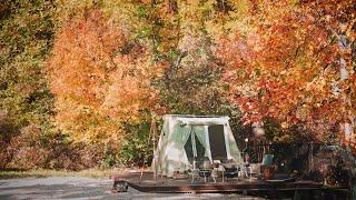 Camping in a Small Forest for Football Match Viewing, Camping in Korea, Couple Camping ️