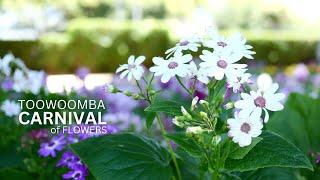 75th Carnival of Flowers 2024 | Toowoomba Australia