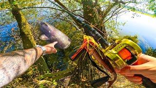 LES GÉANTS DE LOIRE se cachent sous cet arbre !  (Pêche au leurre)