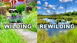 To WILD or REWILD?  That Is The Question...