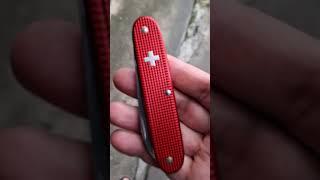 Victorinox Solo Alox OC #victorinox #edc #everydaycarrygear #multitool #gear #knifecommunity