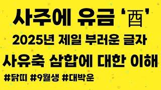 사주에 유금 "酉" 있는 사람! 진심 부럽습니다 2025년이 왜 대박운인지 설명드릴게요 사유축에 대한 이해는 덤! 닭띠 9월생 주목