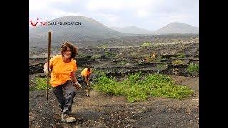 Preserving traditional winemaking on Lanzarote