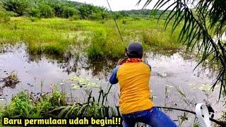 Mancing ikan Gabus di Rawa Baru Lempar Umpan Langsung di Sambar - Spot Potensial