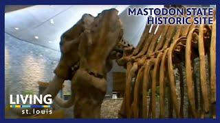 Mastodon State Historic Site | Living St. Louis