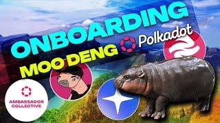 Onboarding Moo Deng to Polkadot