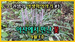 권샘의 야생화 이야기 #17 [야산에서 만난 꽃]