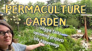 My Permaculture Garden: Let's chat while I work in the garden (tree kale, tomatoes, life update...)