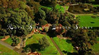 Royal Botanic Garden Sydney | Cinematic Video