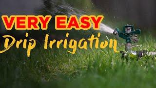 How to Install Drip Irrigation - 16mm Lateral Pipe // Teeny Tiny Earth