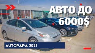 Авто до 6000 $ из Грузии. Autopapa 2021. Master Vadya. Мастер Вадя. MV.