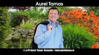 Aurel Tămaș - Trenul vine din Ileanda