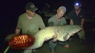 Monstruous 1467lbs Wels Catfish! | CATFISH | River Monsters