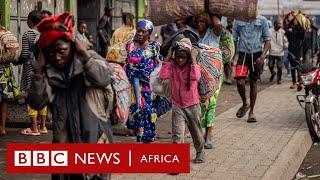 Fighting rages in Goma as M23 and army clash - BBC Focus On Africa