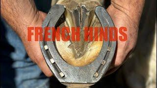 Difficult Shoeing Class‼️French Hind Horseshoes at World Championships!