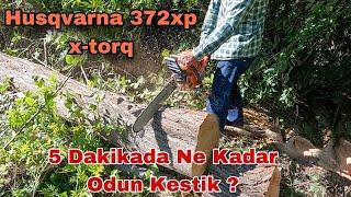 Canavar Husqvarna 372xp İle 5 Dakikada Ne Kadar Odun Kestik Bakın !!!