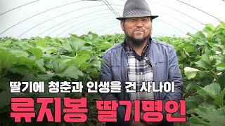 봉농원 딸기명인 류지봉 인터뷰 | 민승규의 명인열전