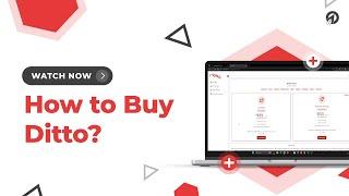 How to Buy Ditto in 1Cliq?