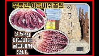 주문진 아들바위공원/피문어3.5kg/공원에서 피문어구입후기/낚시로잡은피문어/다른수산시장 다 지나치고 결국 이곳에서 문어를 샀습니다.