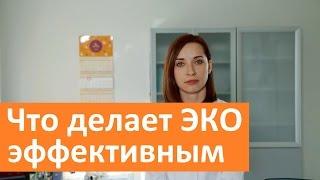 Что делает ЭКО эффективным. ГК Мать и дитя об эффективности ЭКО.