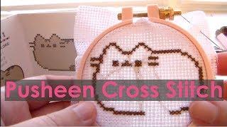 Pusheen Cross Stitch Kit Review [Beginner Cross Stitch]