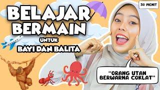 Belajar Kata Untuk Balita - Warna, Mengenal Hewan, Lagu Interaktif Untuk Balita Bersama Kak Nisa