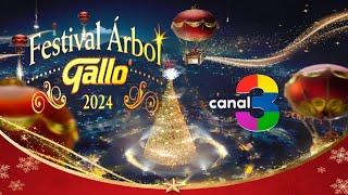 Anuncio Arbol Gallo 2024 Canal 3 (Oficial)