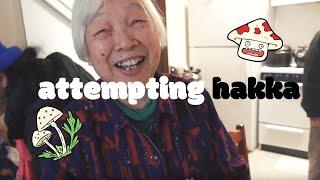 attempting to speak my native language (hakka) vlog (美国人说客家 kejia)