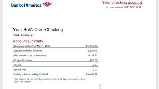 Bank of America Bank Statement Auto Calculate Template - How to Edit