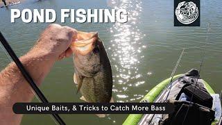 AWESOME Jig Bass Fishing In Local Pond on Paddle Board