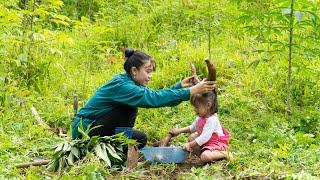 Harvesting Cassava and Making Folk Dishes From Cassava, Mountain Family Life | EP. 81