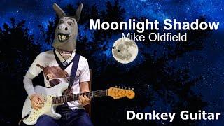 Moonlight Shadow (Mike Oldfield) Instrumental Cover by Donkey Guitar