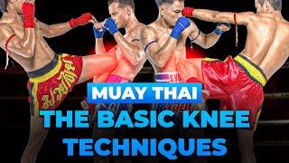 MUAY THAI KNEE Techniques – The BASICS! | Training at Home 2025