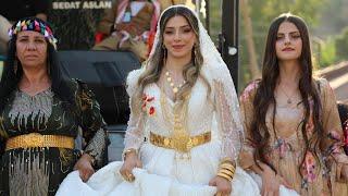 Hakkari Çukurca Düğünleri | Sedat Aslan Yılmaz Ailesi Nerweyi Aşireti Düğünü ©️2024 Kurdish Wedding