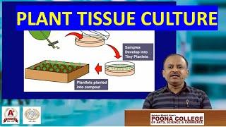 PLANT TISSUE CULTURE