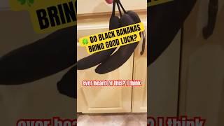 DO BLACK BANANAS BRING GOOD LUCK? #shorts