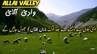 Allai Valley The Gateway Of Chor Meadows, The Last & Unexplored District Of KPK