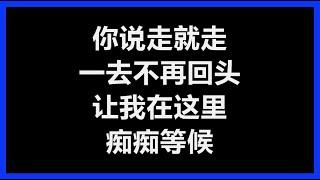 黎沸挥 - 《说走就走》 [歌词]