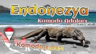 Endonezya Komodo Adaları ( indonesia komodo islands )