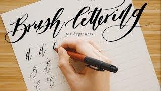 How to: Calligraphy & Brush Lettering Guide for Beginners | Free Calligraphy Practice Sheets