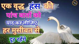 एक वृद्ध हंस की पांच बातों को याद कर लीजिए । जीवन में धोखा नहीं मिलेगा । ज्ञानवर्धक प्रसंग ।