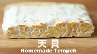 How To Make Healthy And Delicious Homemade Tempeh  @beanpandacook ​