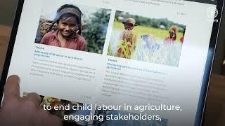 FAO elearning Academy: Addressing Child Labour in Agriculture