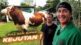 Kandang Sapi Qurban Langganan Artis, Ada Sapi Jumbo 1 Ton Up! Spil Sapi Kejutan Untuk Irfan hakim