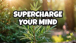 Why Rosemary is Nature's Most Powerful Brain Booster!