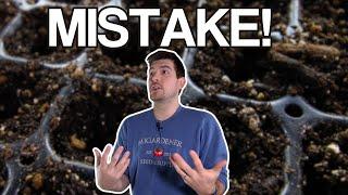 The EASIEST Seed Starting Mistakes To Avoid!