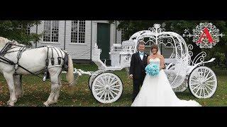 KS Studios: Dreams to Reality Wedding Show Event Videography